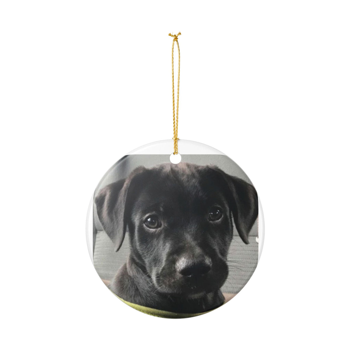Ceramic Dog Photo Ornament — Personalized Black Lab Memorial or Holiday Keepsake