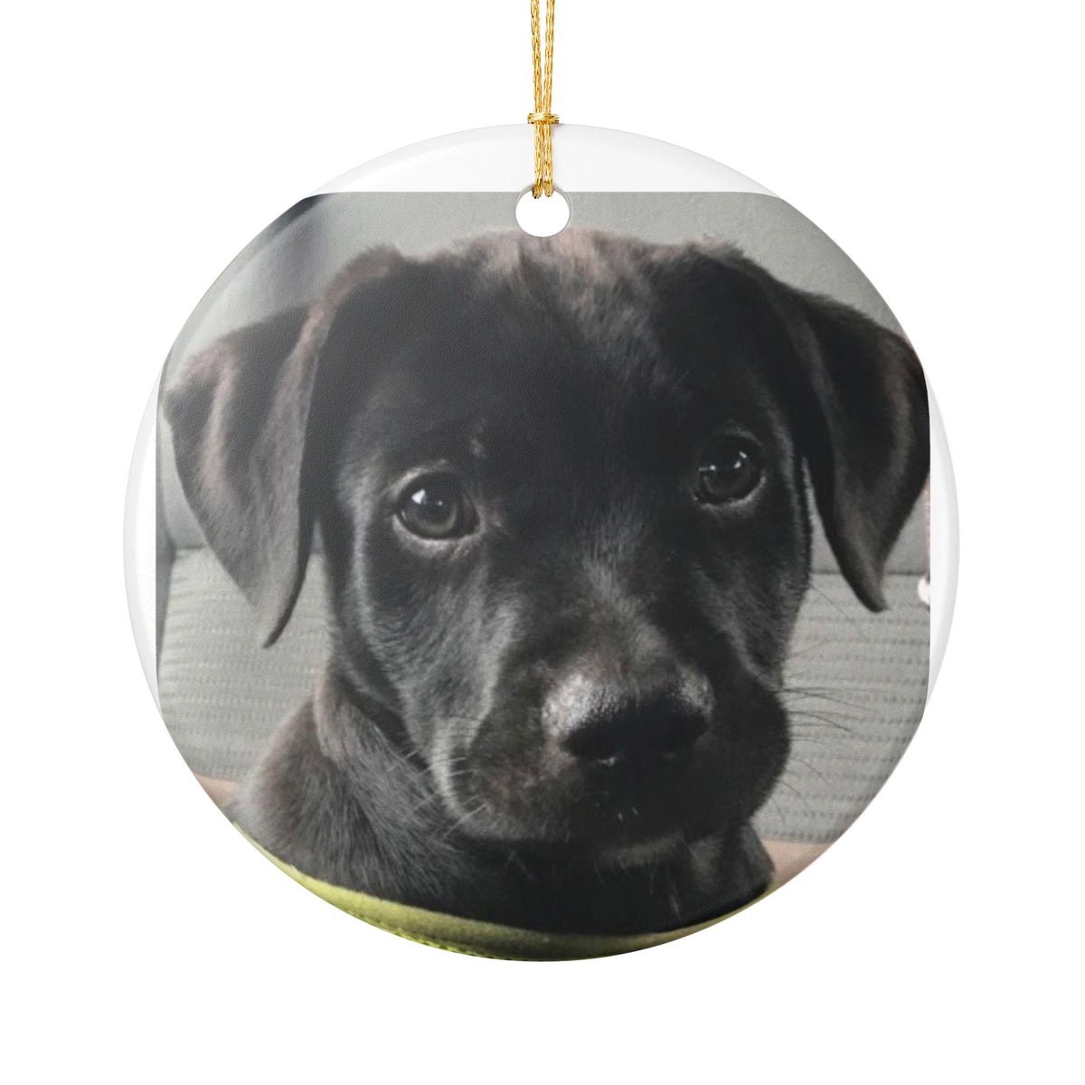 Ceramic Dog Photo Ornament — Personalized Black Lab Memorial or Holiday Keepsake