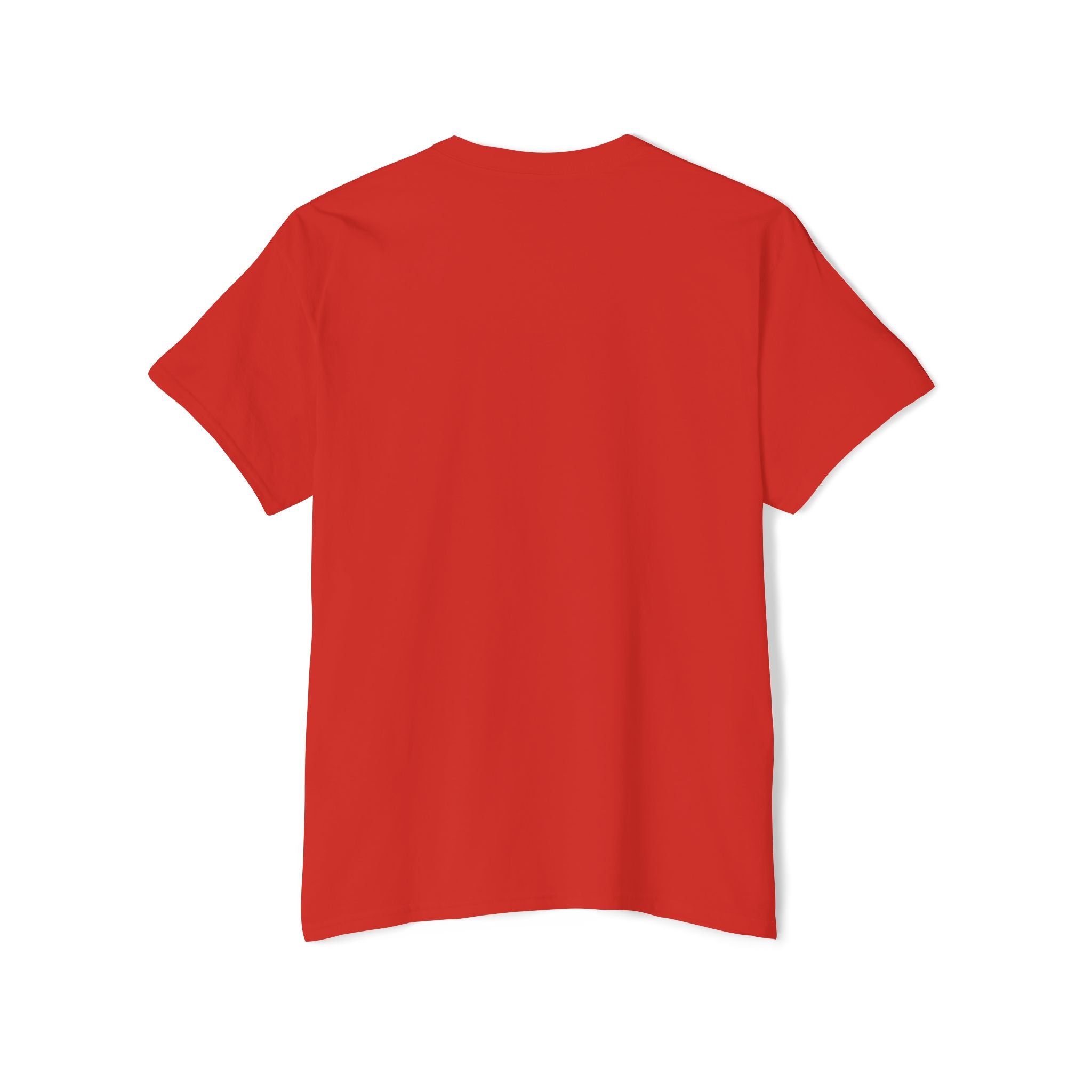 Grumpy Raccoon Pocket Tee